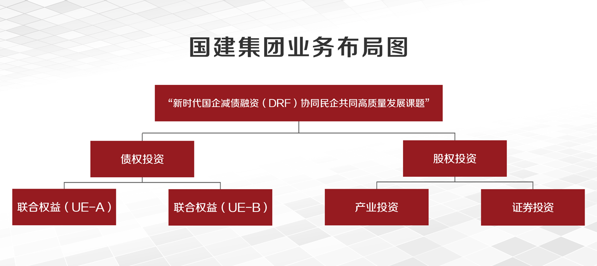 国建集团业务布局图.png